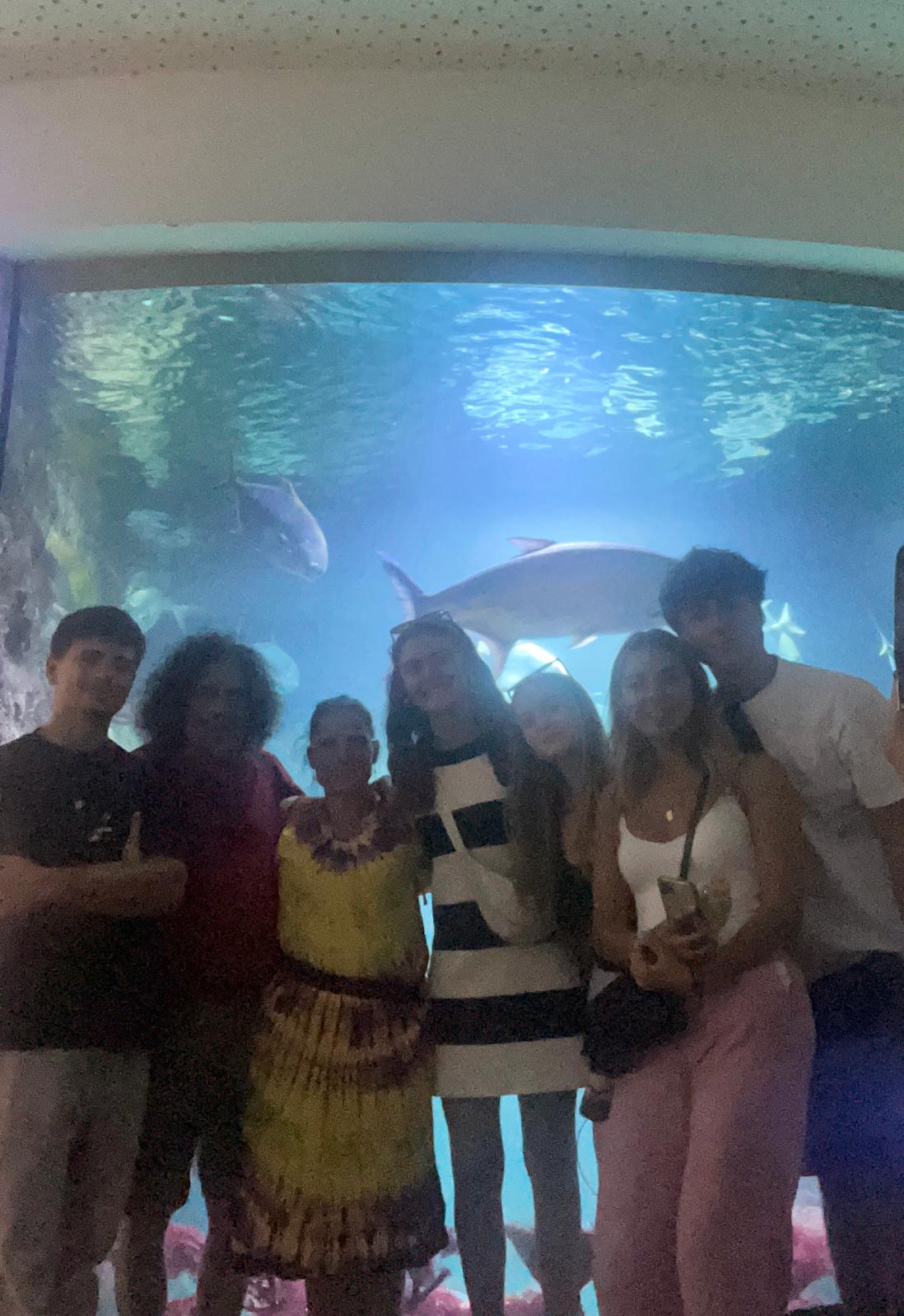 Vienna, “Haus des Meers”